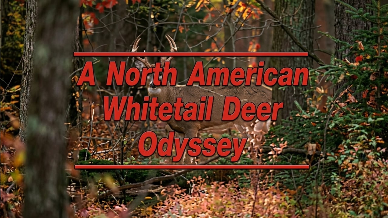 A North American Whitetail Deer Odyssey