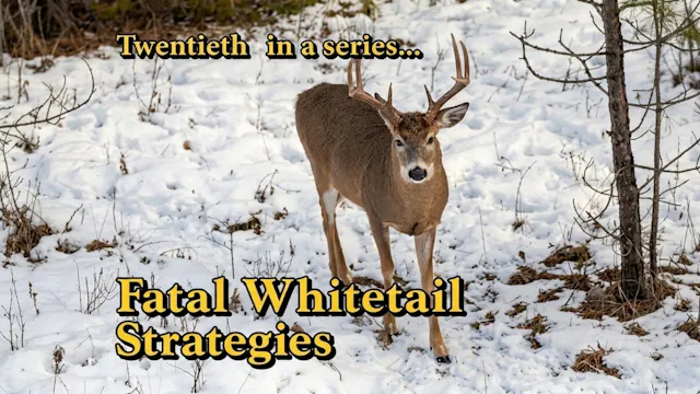 Fatal Whitetail Strategies