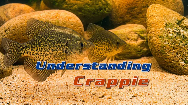 Understanding Crappie
