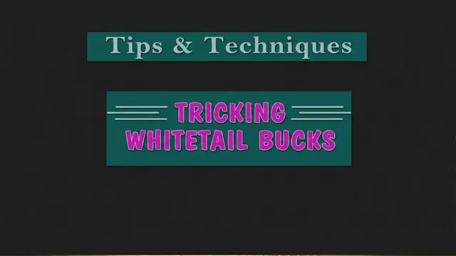 Tricking Whitetail Bucks