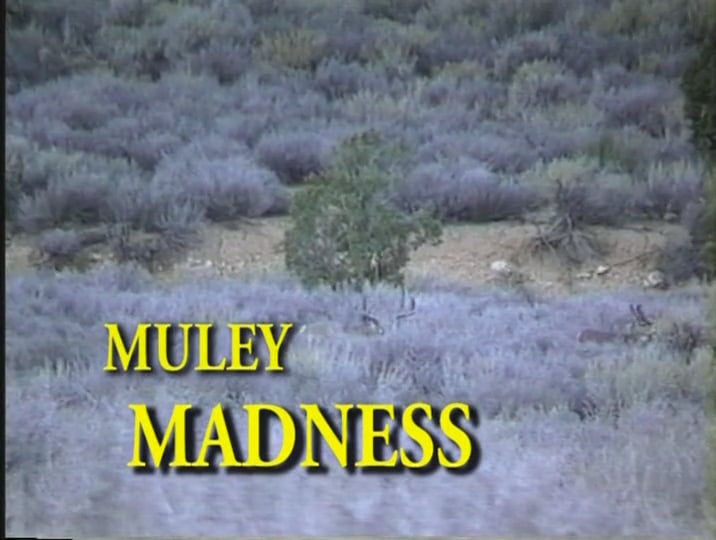 Muley Madness