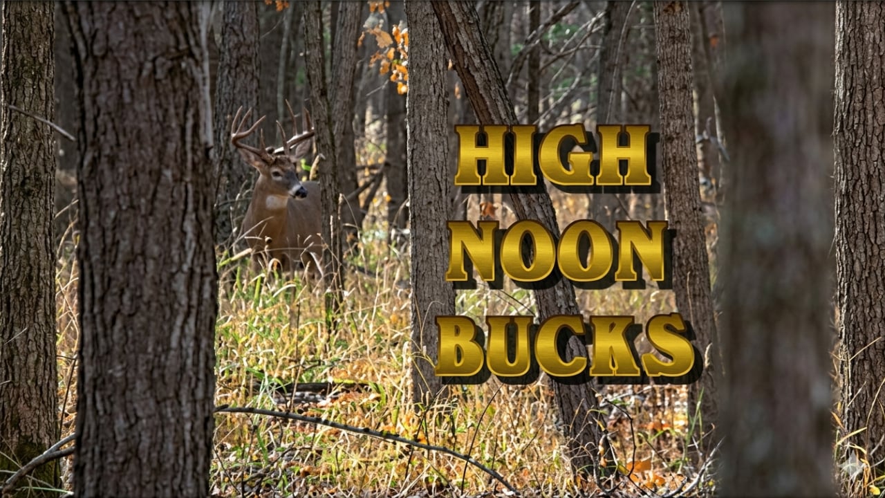 High Noon Bucks