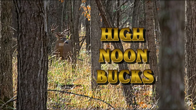 High Noon Bucks