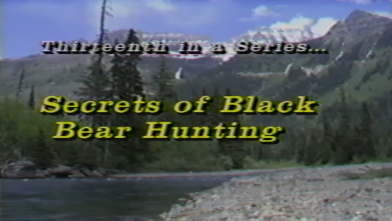 Secrets of Black Bear Hunting