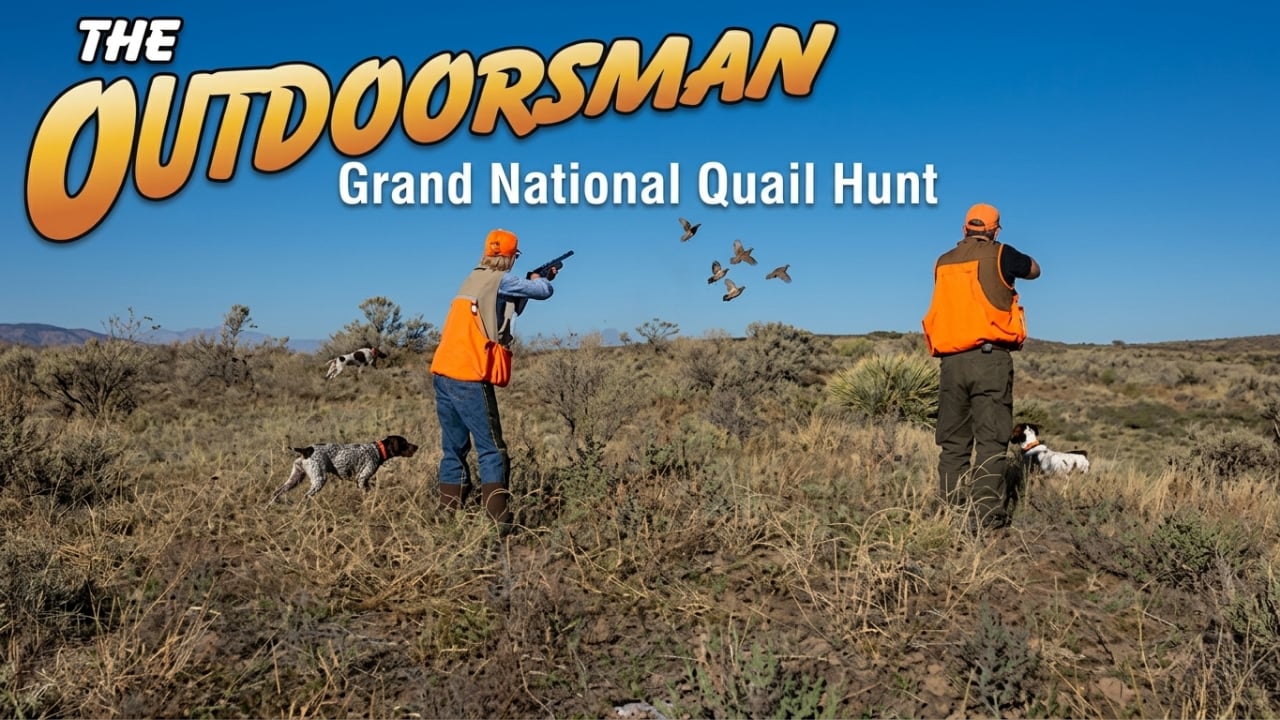 The Outdoorsman: Grand National Quail Hunt