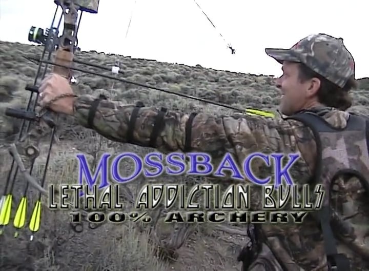 Lethal Addiction Archery Bulls Vol.1