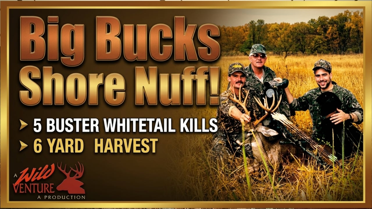 Big Bucks Shore Nuff!