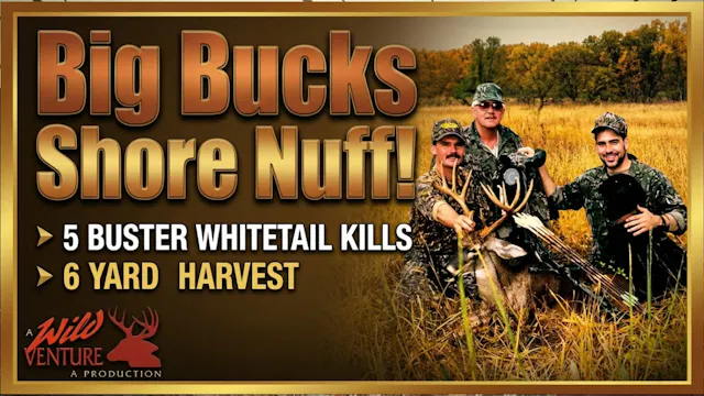 Big Bucks Shore Nuff!