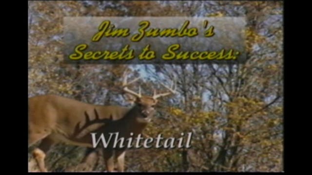 Secrets to Success - Whitetail