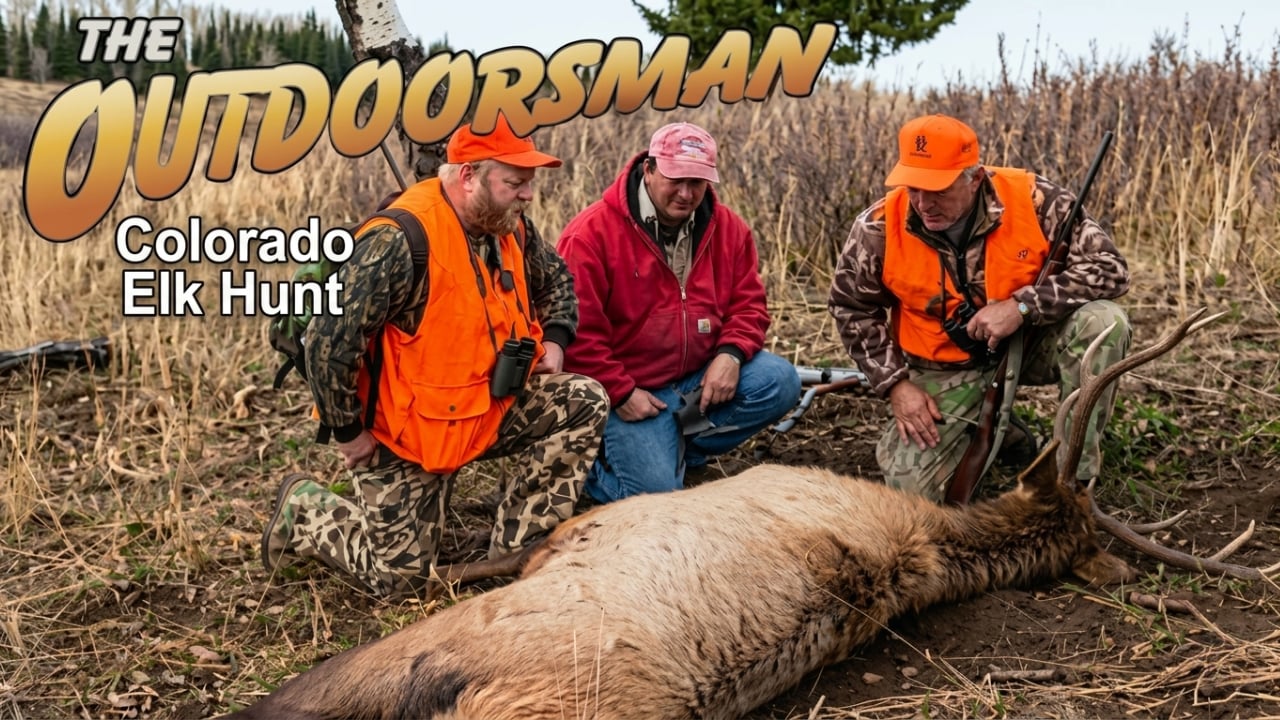 The Outdoorsman: Colorado Elk Hunt