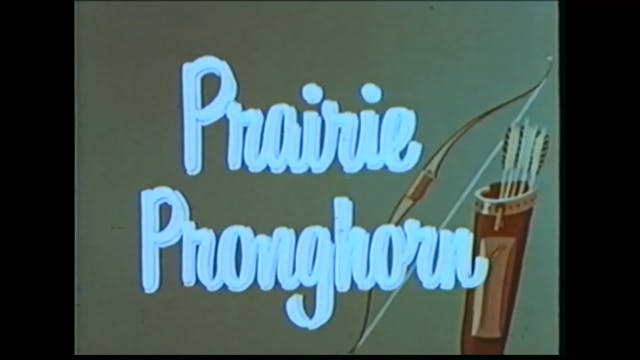 Prairie Pronghorn / Bwana Bowman