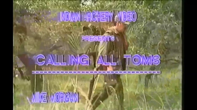 Calling All Toms