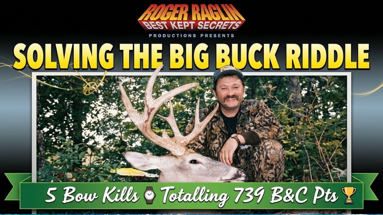 Solving the Big Buck Riddle