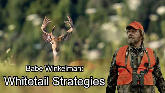Babe Winkelman: Whitetail Strategies