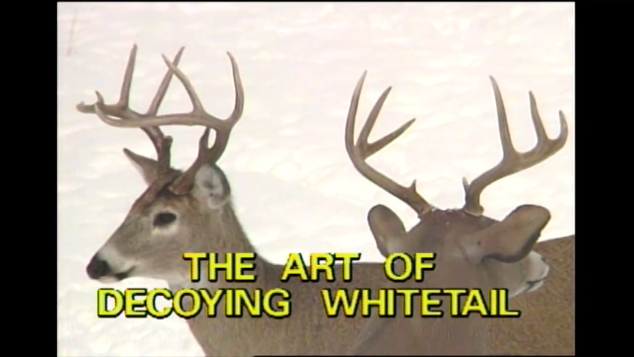 Art of Decoying Whitetail