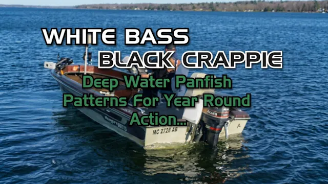 White Bass Black Crappie