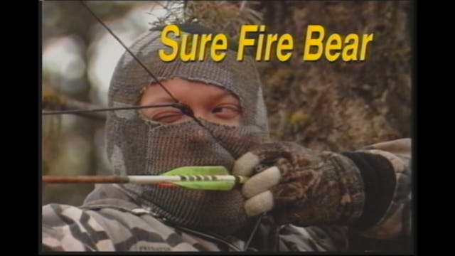 Sure Fire Bear