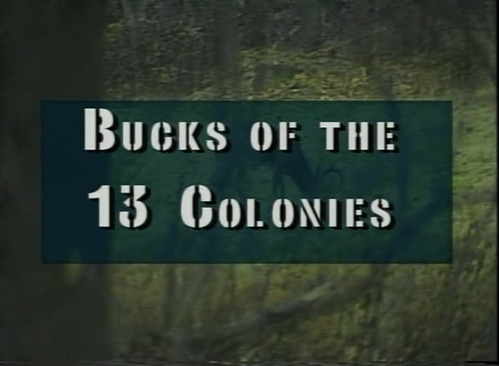 Bucks of the 13 Colonies