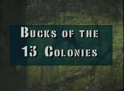 Bucks of the 13 Colonies