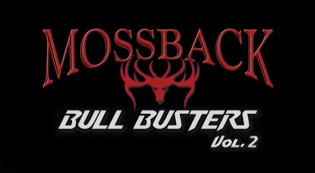 Bull Busters Vol 2