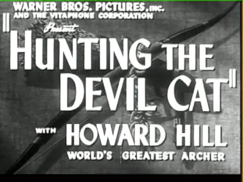 Hunting the Devil Cat