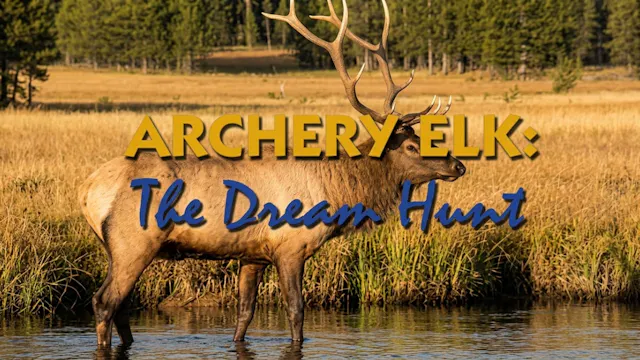 Archery Elk the Dream Hunt