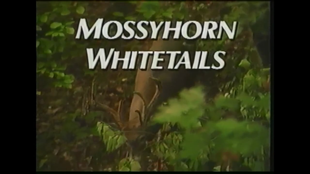 Mossyhorn Whitetails
