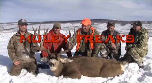 Muley Freaks Vol. 1