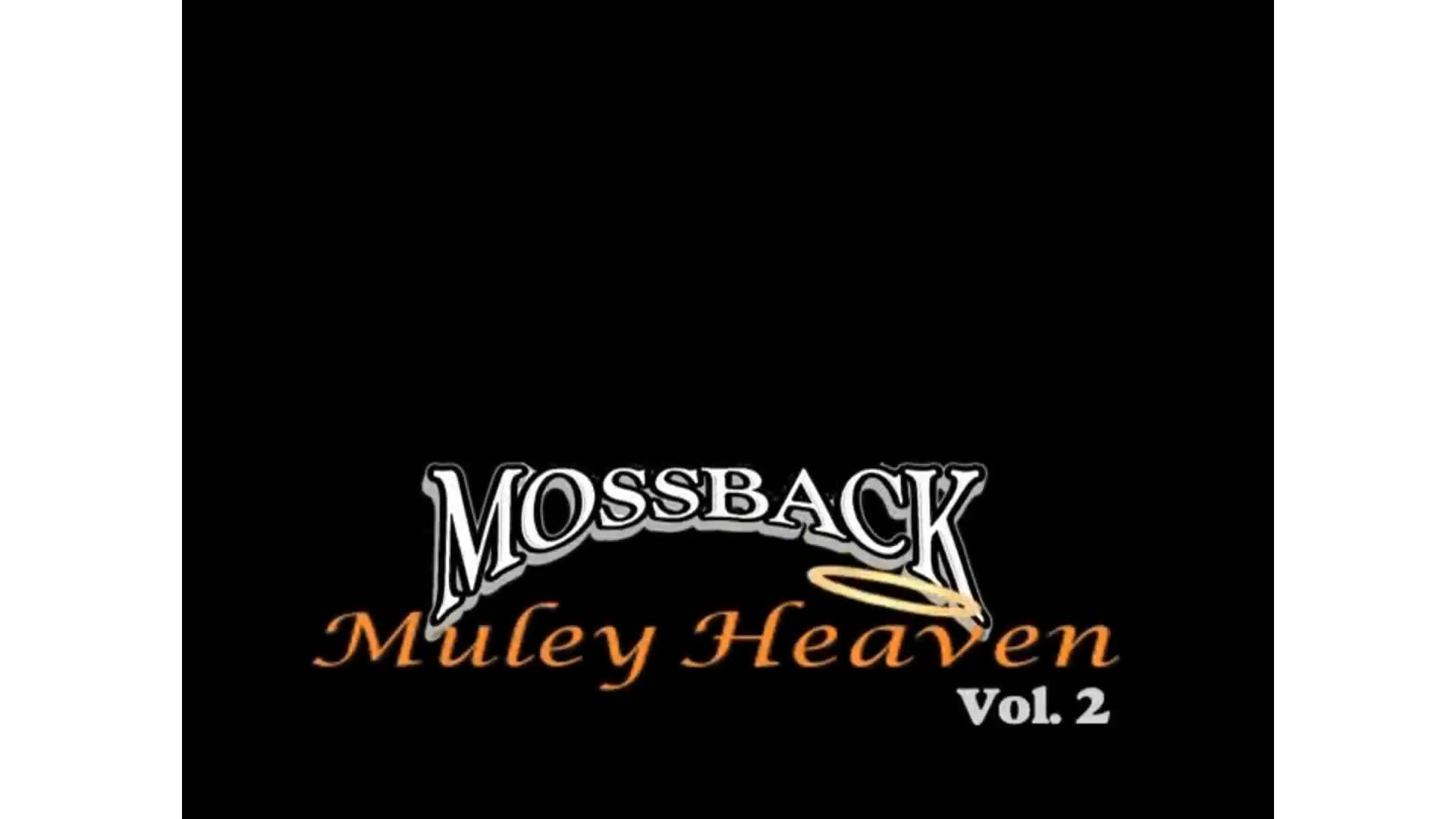 Mossback Muley Heaven 2