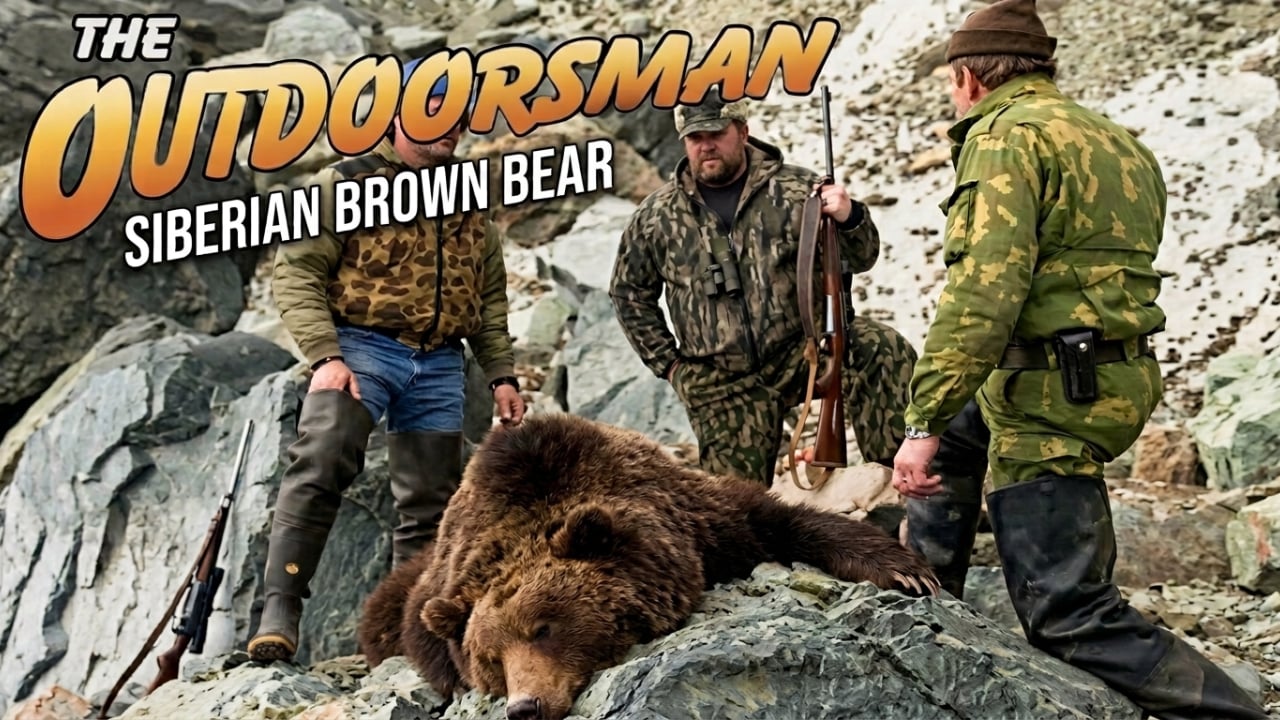 The Outdoorsman: Siberian Brown Bear