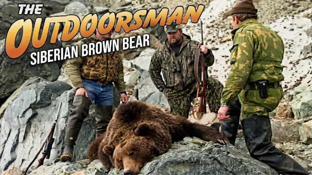 The Outdoorsman: Siberian Brown Bear
