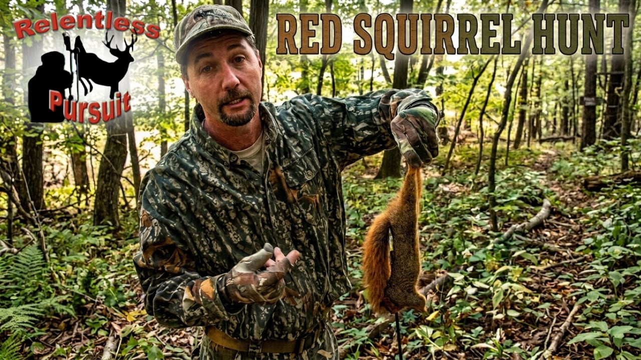 Relentless Pursuit: Squirrel Hunt