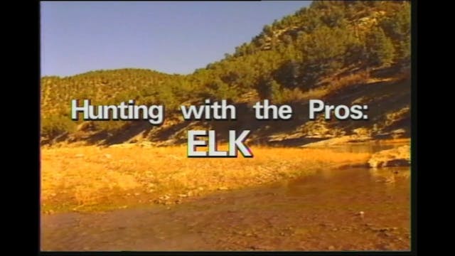 Hunting With Pros - Elk