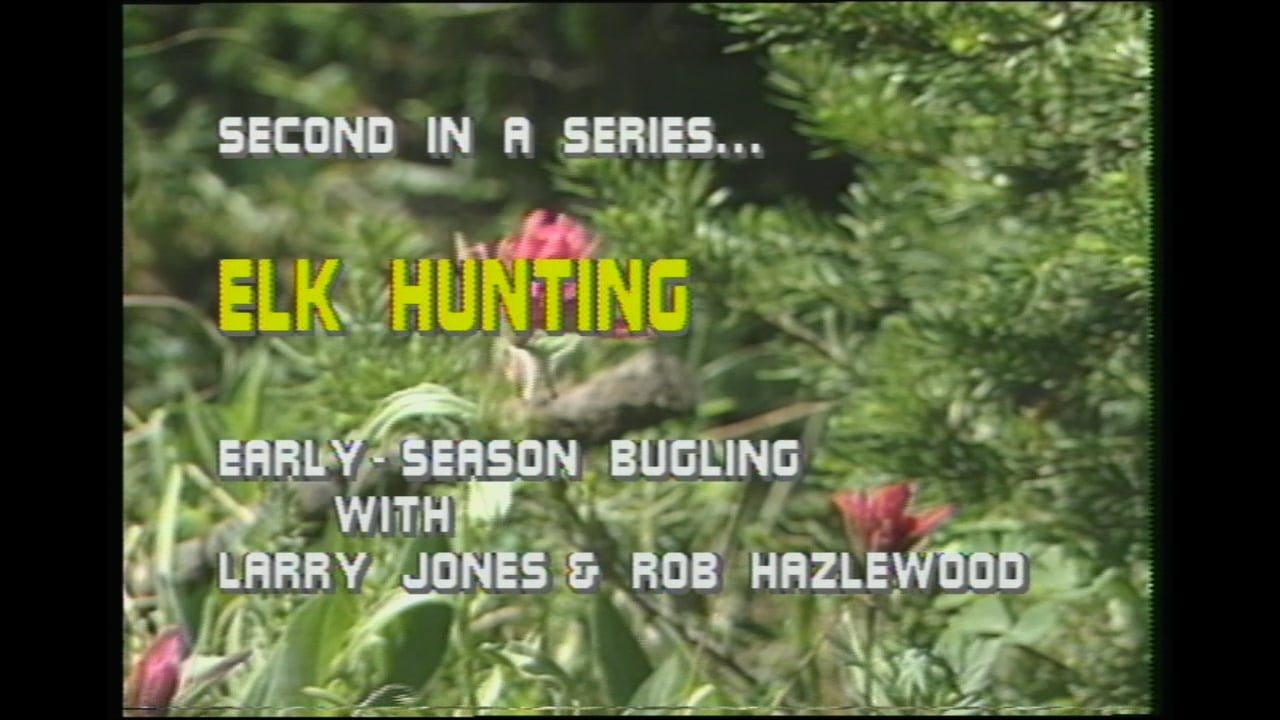Elk Hunting: Early Season Bugling