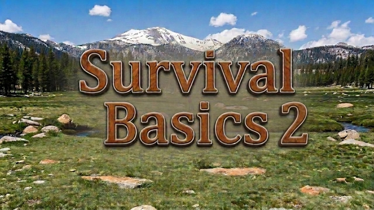 Survival Basics 2