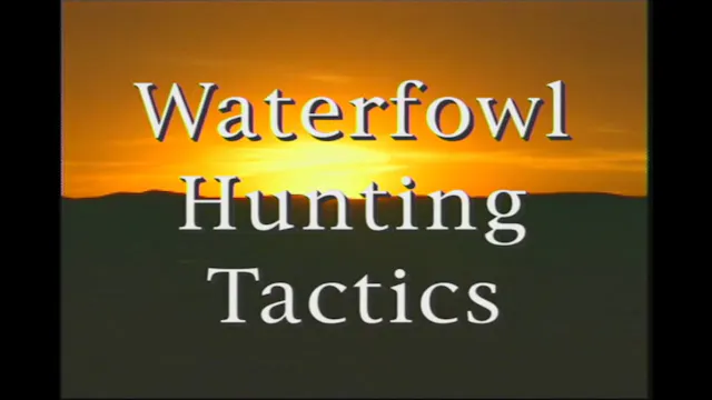 Waterfowl Hunting Tactics