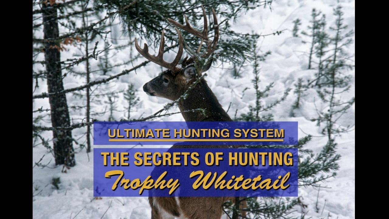 The Secrets of Hunting Trophy Whitetail