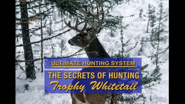 The Secrets of Hunting Trophy Whitetail