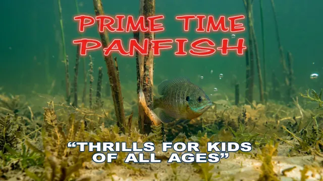 Prime Time Panfish: Thrills for Kids ...