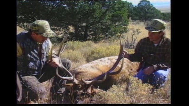 Hunting With Pros - Elk