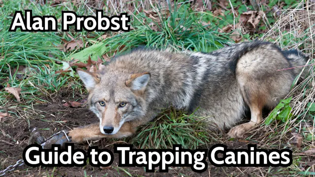 Guide to Trapping Canines with Alan P...