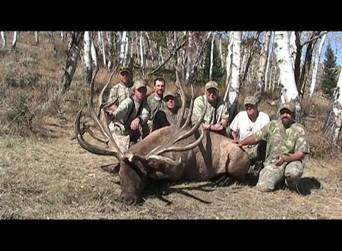 Legends of the Fall 2 Spyder Bull