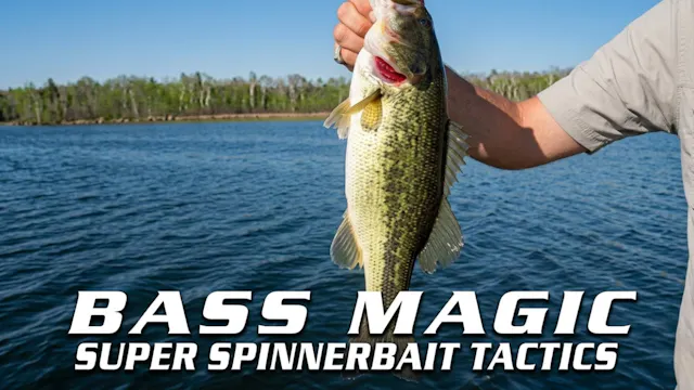 Bass Magic: Super Spinnerbait Tactics