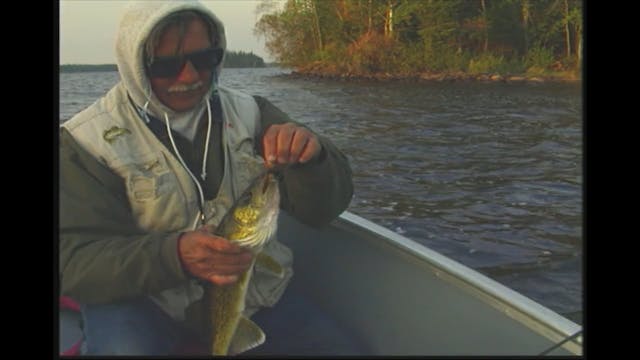 Lake Walleye