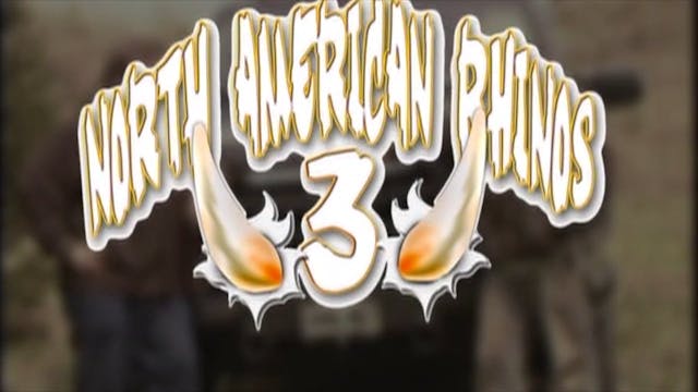 North American Rhinos 3