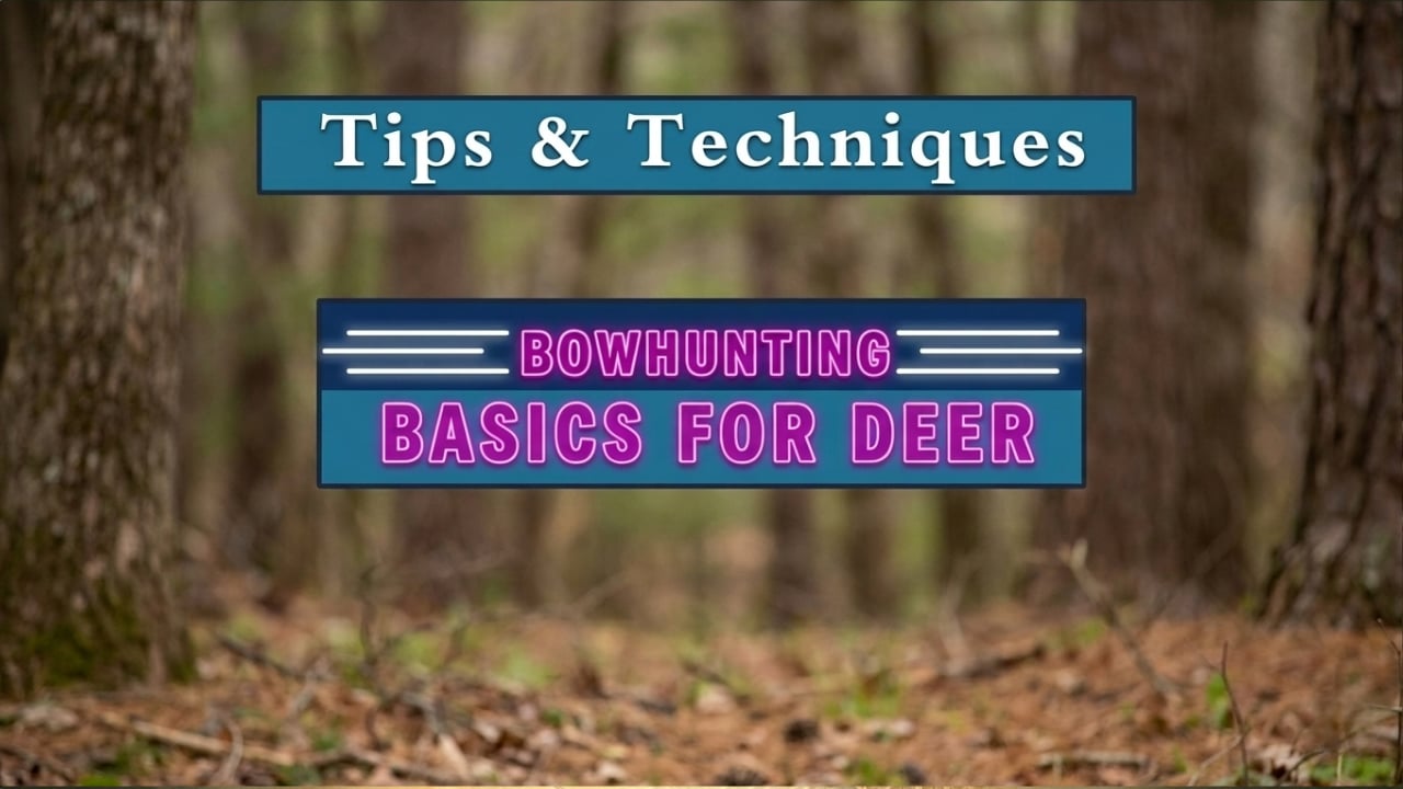 Bowhunting Basics for Deer