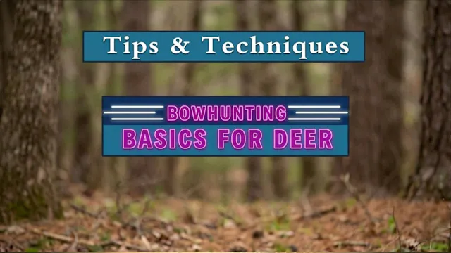 Bowhunting Basics for Deer
