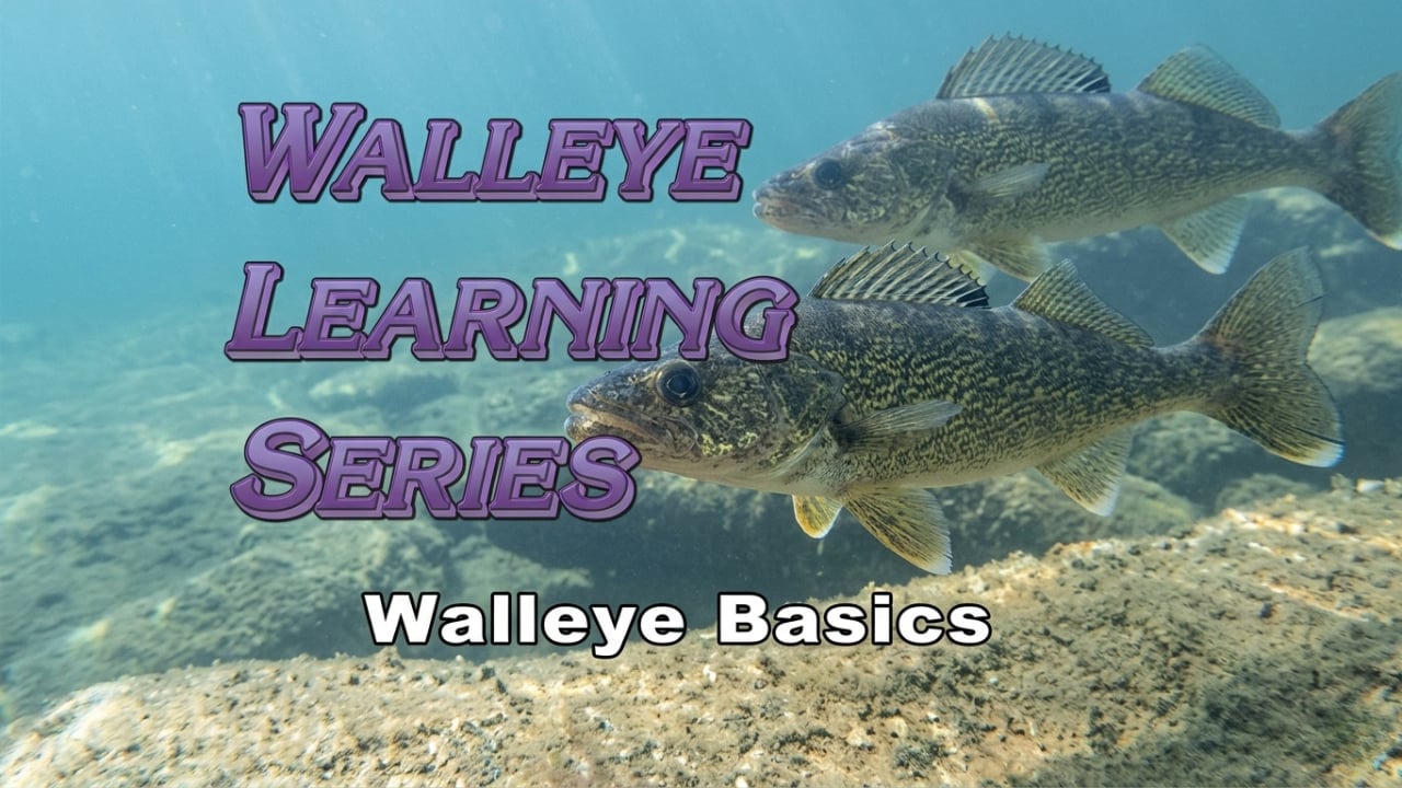 Walleye Basics