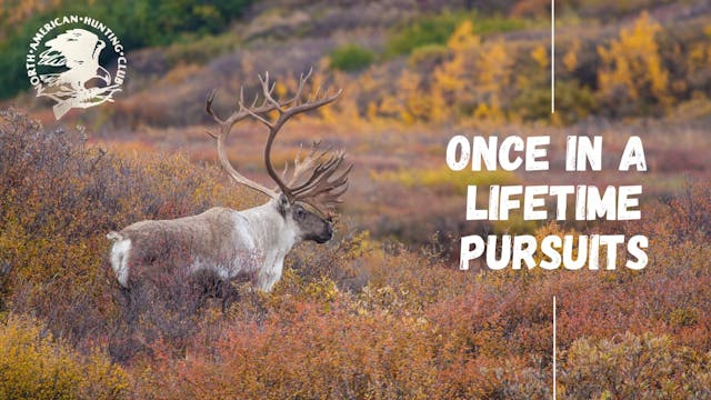 Once in a Lifetime Pursuits