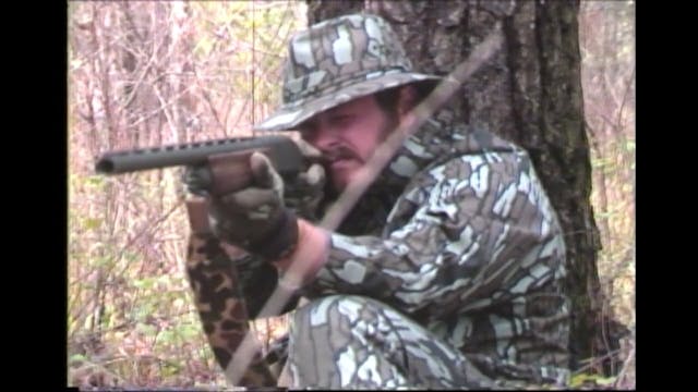 Hunting North American Wild Turkey